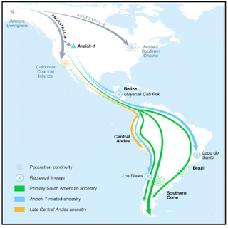 Migrations into North and South America, weren’t as straightforward as we thought. This graphic shows possible migration routes, as posited by the new Cell study.